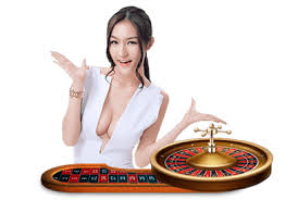 tk444-এর বিভিন্ন গেম বিভাগের প্রদর্শনী