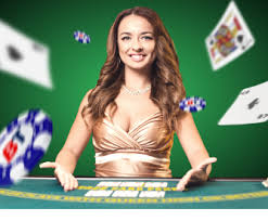 নতুন ব্যবহারকারীদের জন্য tk444 নিরাপদ লগইন চিত্র